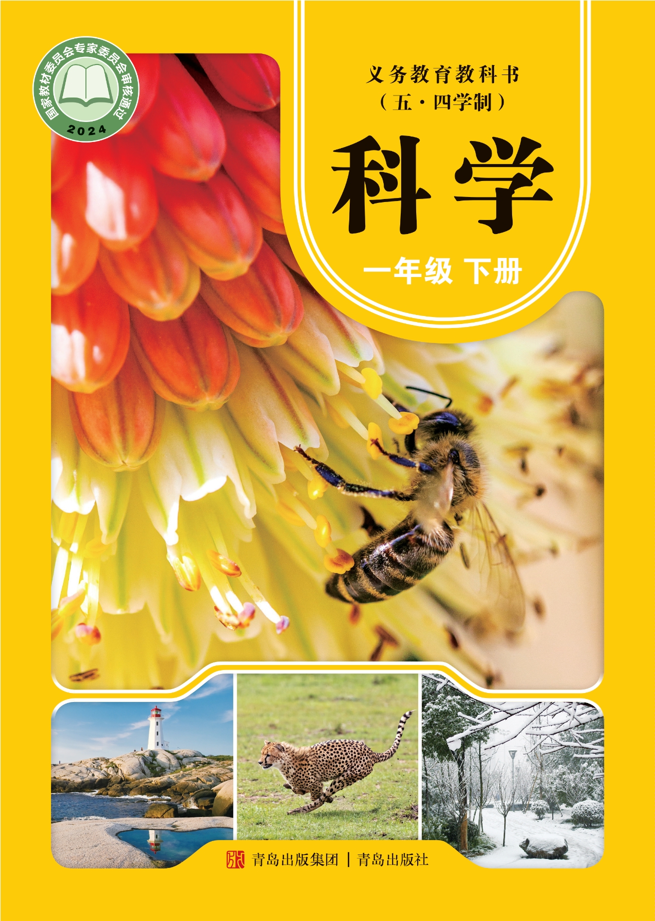 （根据2022年版课程标准修订）义务教育教科书（五•四学制）·科学·一年级下册封面