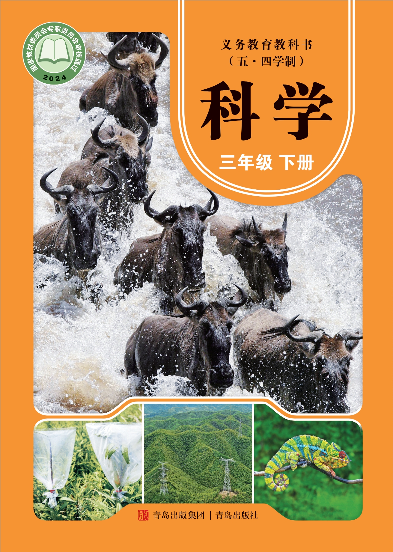 （五•四学制）·科学三年级下册封面
