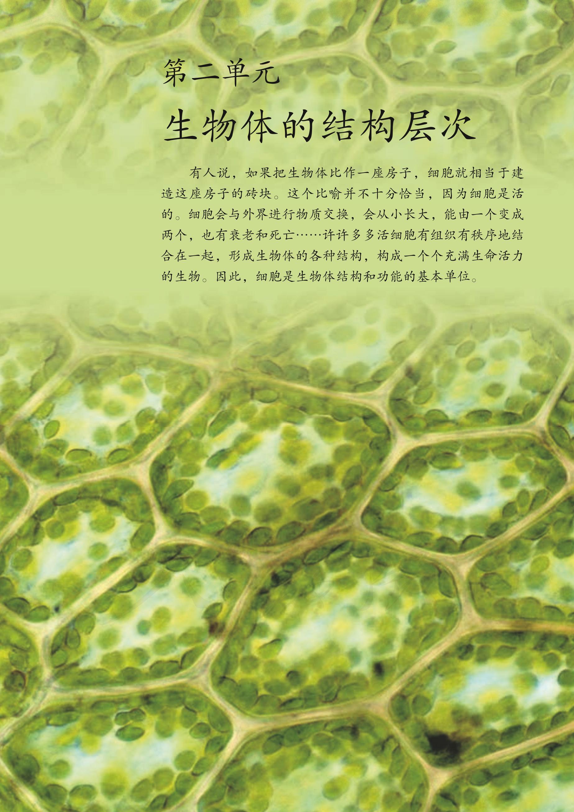 义务教育教科书·生物学七年级上册（人教版）PDF高清文档下载