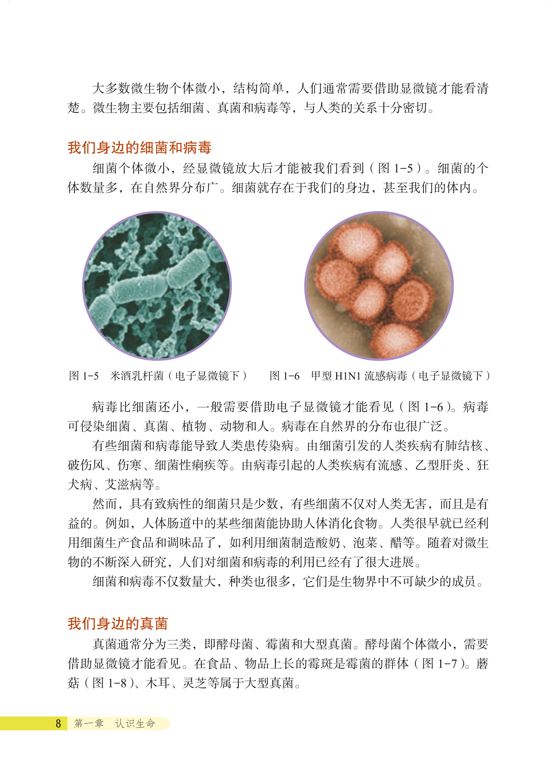 义务教育教科书·生物学七年级上册（北京版）PDF高清文档下载