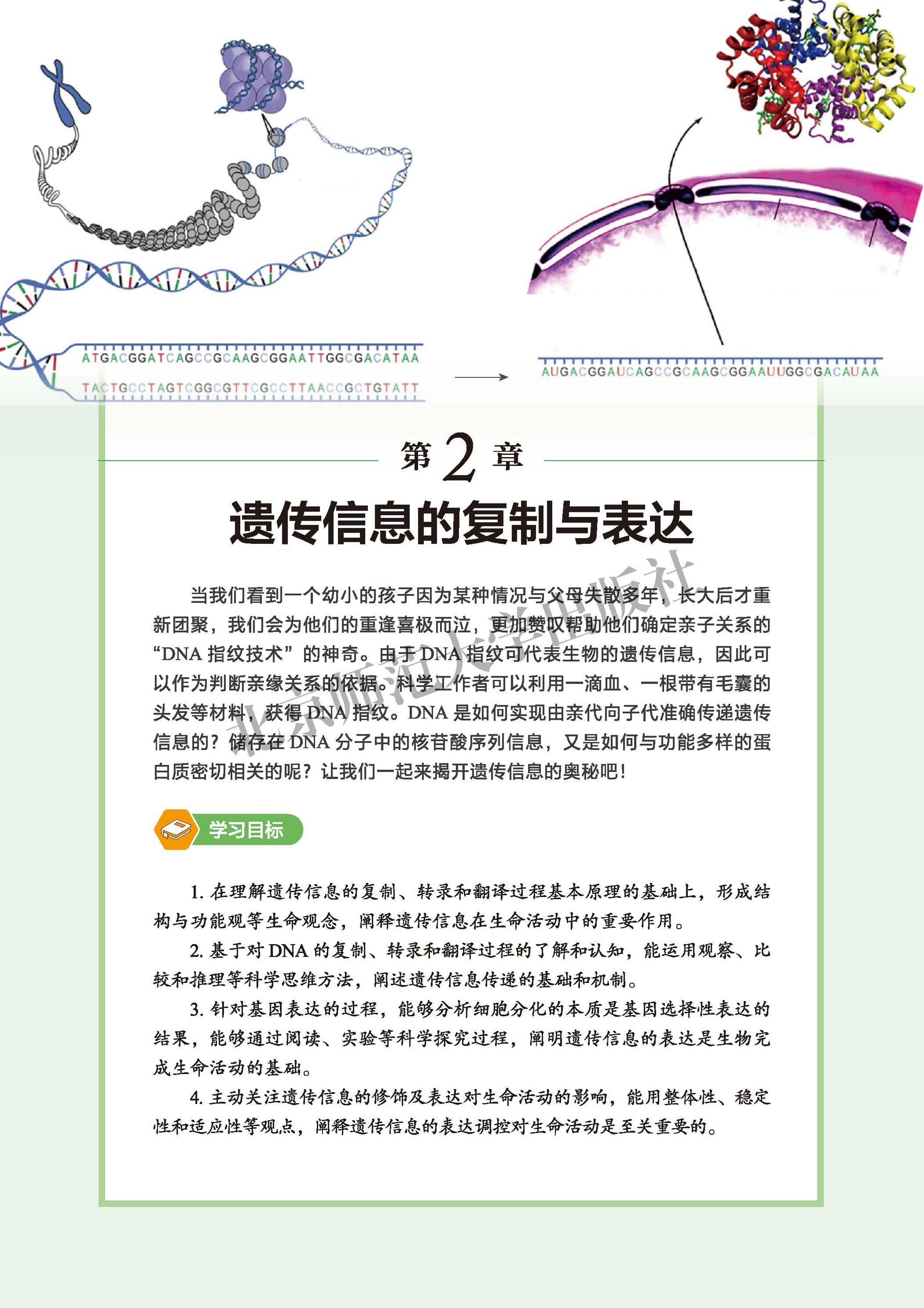 普通高中教科书·生物学必修2 遗传与进化（北师大版）PDF高清文档下载