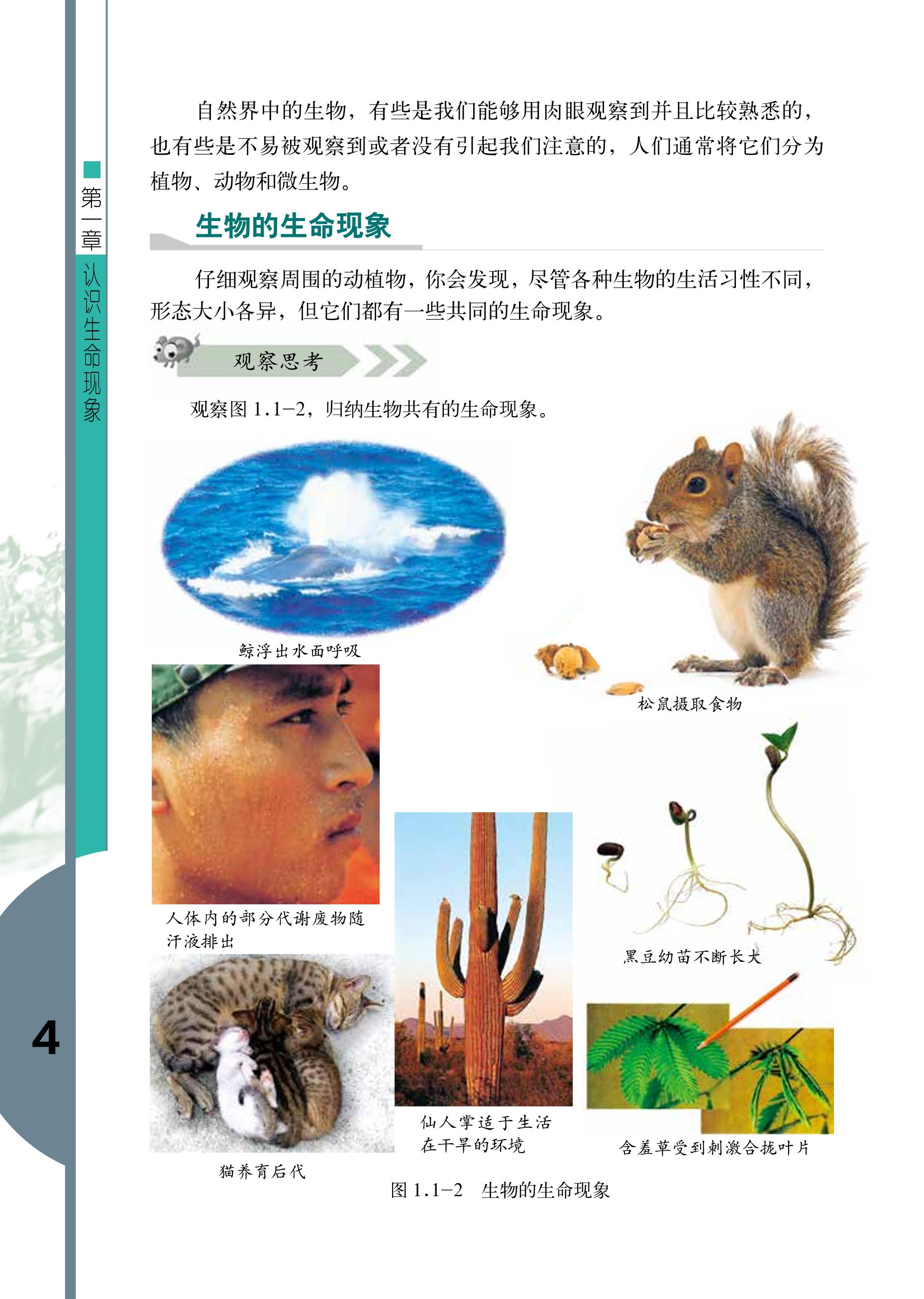 义务教育教科书·生物学七年级上册（济南版）PDF高清文档下载