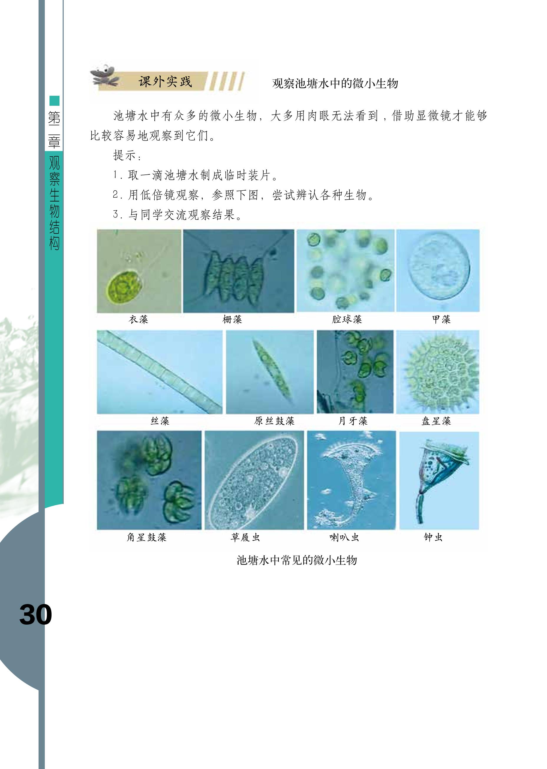 义务教育教科书·生物学七年级上册（济南版）PDF高清文档下载